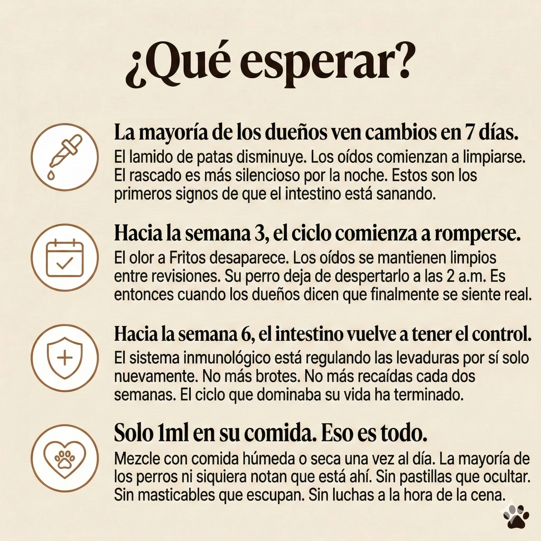 Biot®-Gotas anti bacterias