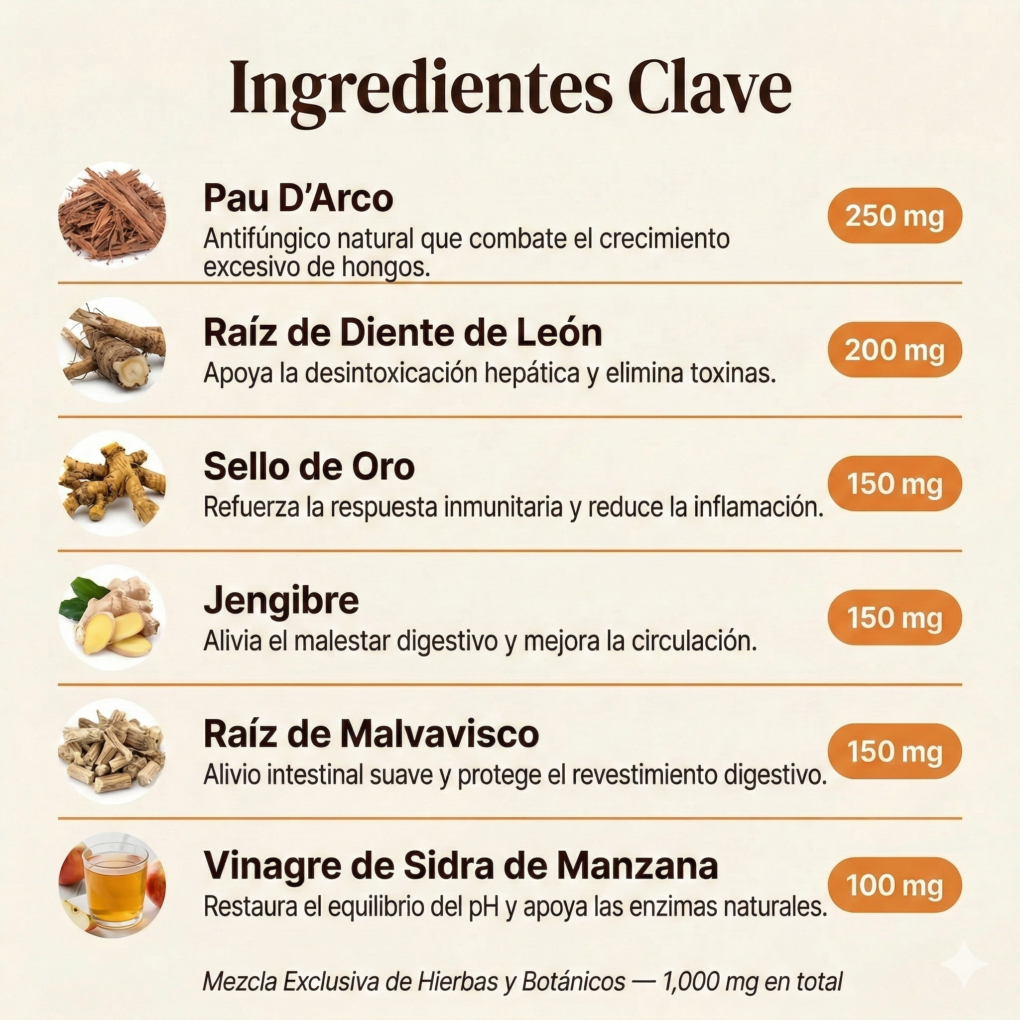 Biot®-Gotas anti bacterias