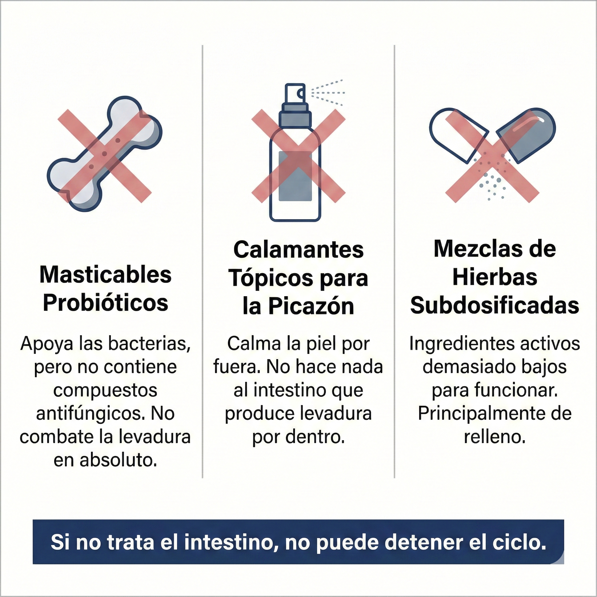 Biot®-Gotas anti bacterias